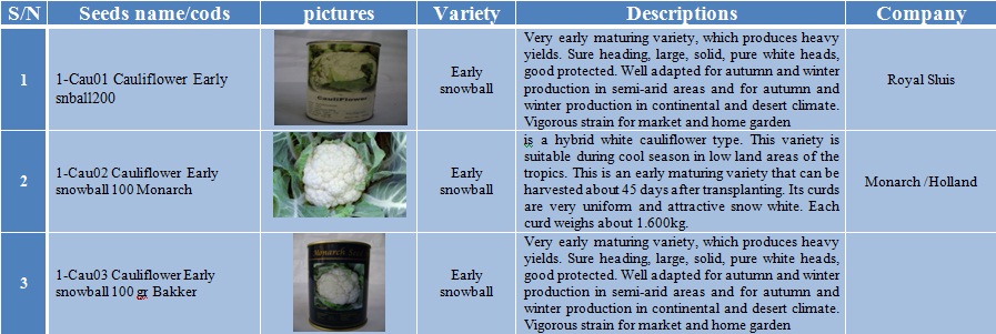 cauliflower-1