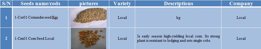 coriander-1