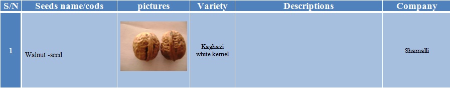 kaghaziwhitekernel-1