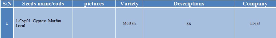 morfan-1