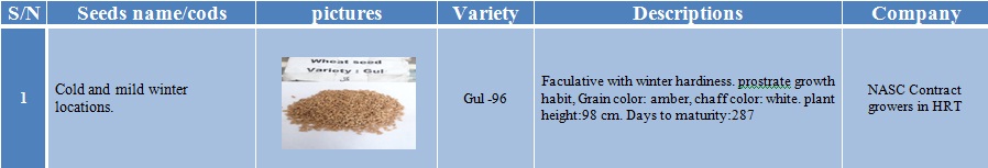 gul-96 wheat seed-1