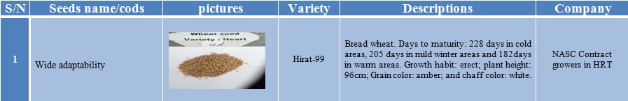 hirat-99 wheat seed-1