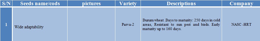 parva-2 wheat seed-1