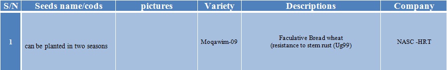 moqawim-09 wheat seed-1