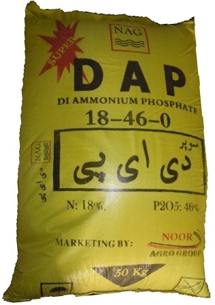 DAP picture-1
